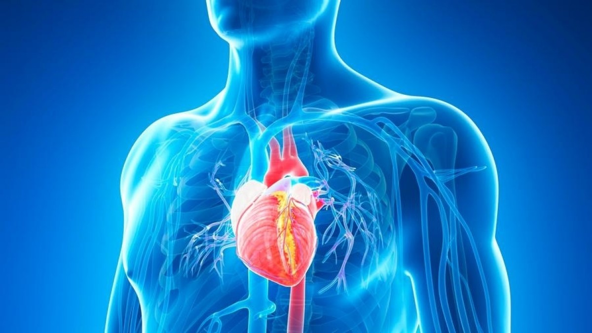 Révolution technologique, La bio-impression d'un cœur 3D plus vrai que nature !