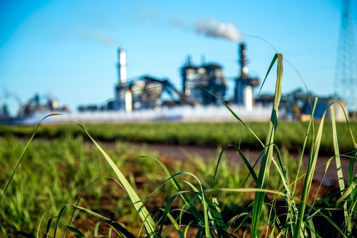 Décarbonation : Dow investit 6,5 Milliards de dollars en Alberta dans le vapocraquage zéro émission